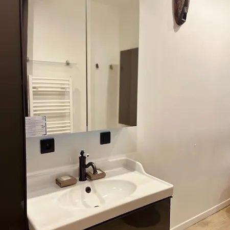 L'escale Harmonieux T2 En Centre-ville Climatise Apartment *